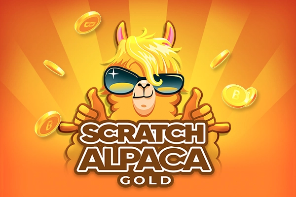 02520 scratch alpaca