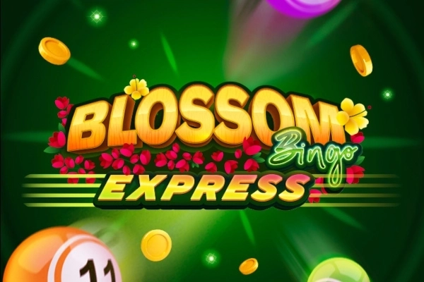 05467 blossom bingo express