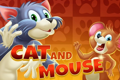 11663 cat and mouse