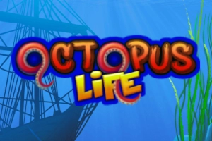 17827 octopus life