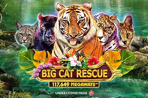 19311 big cat rescue megaways